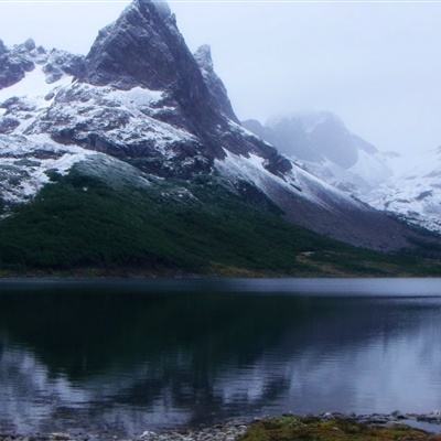 九游会演示计划