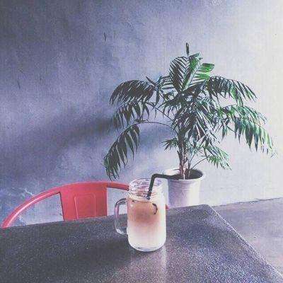 星力正版捕鱼手机app下载