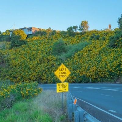 竞彩足球app官方下载安装手机版截图