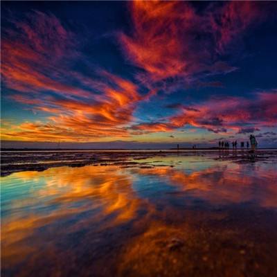 凤凰彩票appapp下载