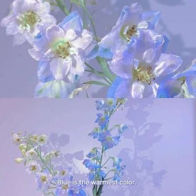 爱游戏官方下载手机版