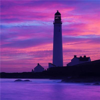 双赢彩票手机app下载截图