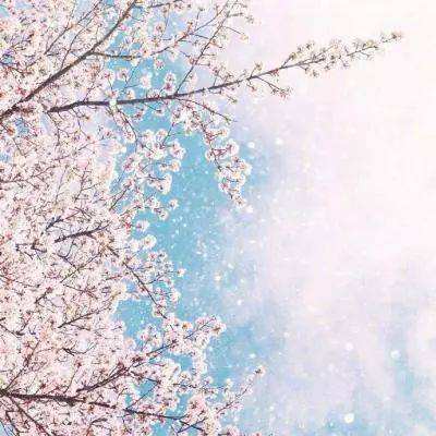 彩神手机app下载