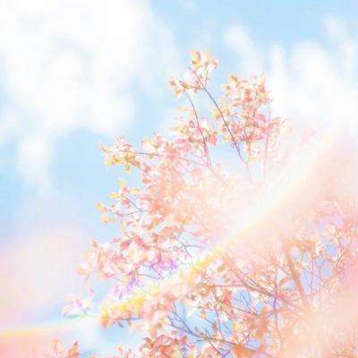 澳门正版资料大全