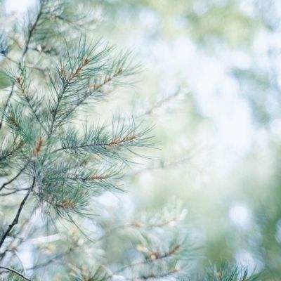 微博-随时随地发现新鲜事