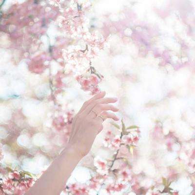 免费的行情网站app